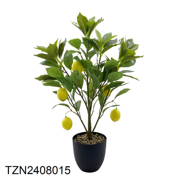 Vert-TZN2408015