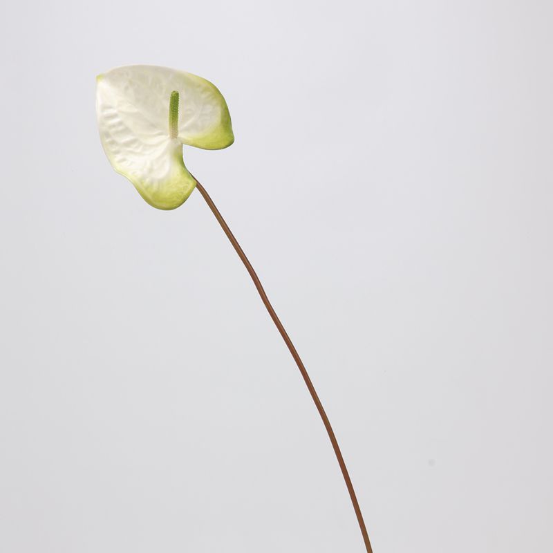 Blanco y verde