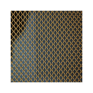 Decorativo Expanded Metal Mesh/Acciaio Inox Tessuto A Filo Schermo di Maglia - Product Image 1