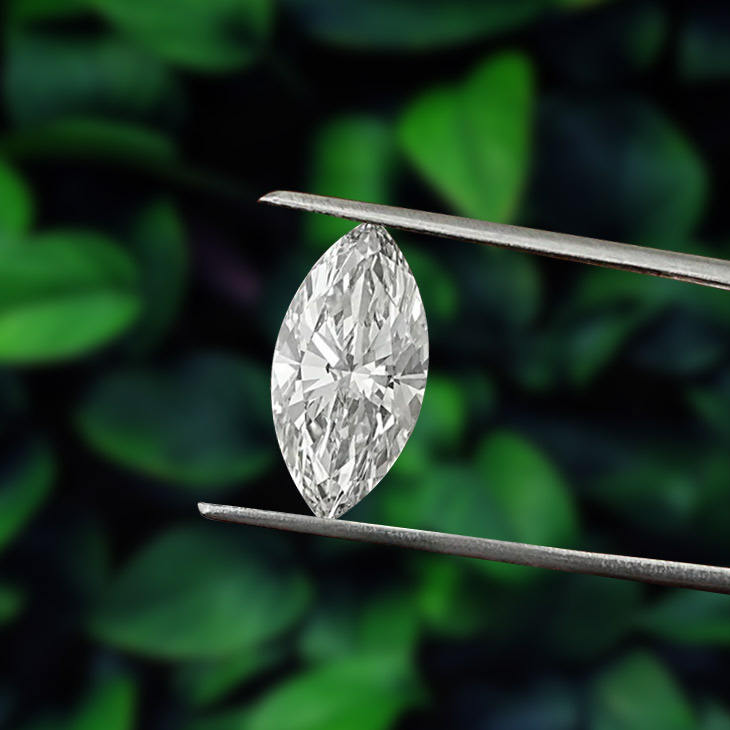 ดีอี ไวท์ มาร์คีส์