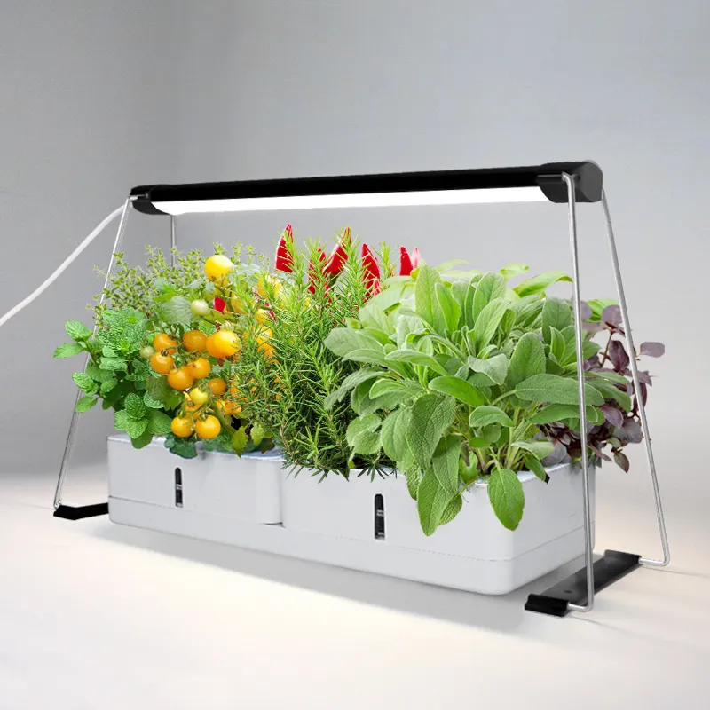 J & C-sistema de cultivo hidropónico inteligente Minigarden Norm, cultivo interior, jardín, acuario