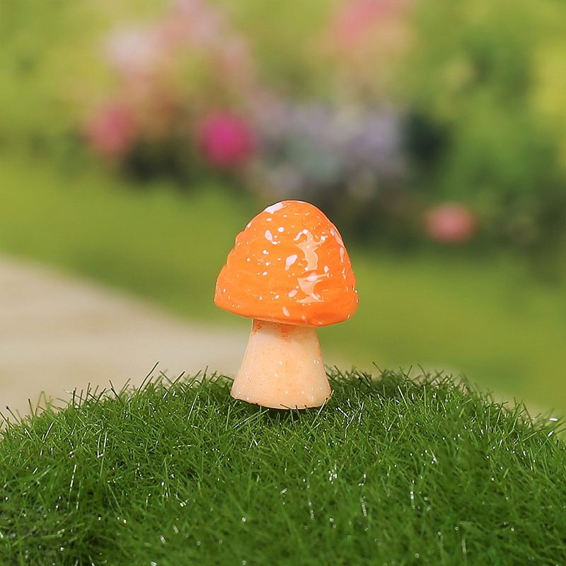 Small round mushrooms