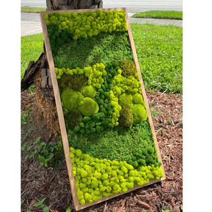 Tùy chỉnh thiết kế "đồng hồ phong cách" bảo quản Tuần Lộc rêu cho nghệ thuật trang trí - Product Image 3