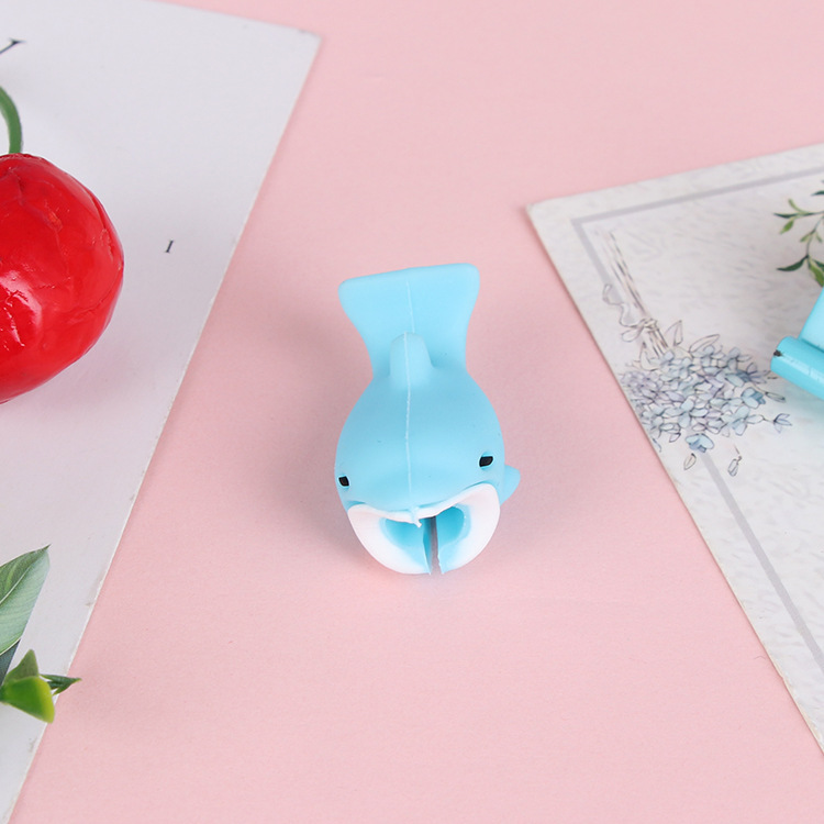 Light Blue Dolphin