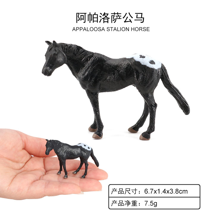 2073 Caballo estallido Appaloosa