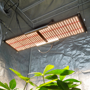 3.บอร์ดประหยัดพลังงาน1mol/J ไฟปลูกพืช LED พร้อมชิป LM301HEVO และเทคโนโลยีออปติคอลรองสำหรับประหยัดพลังงาน25% - Product Image 5
