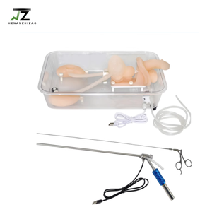 Simulateur de formation en uthéroscopie médicale pour l'enseignement du modèle d'orgue urinaire panier en filet pour extraction de pierre - Product Image 2