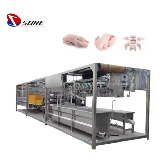 1000 sicuro 500 2000 BPH impianto per la lavorazione della carne di pollo linea di attrezzature per la macellazione del pollame