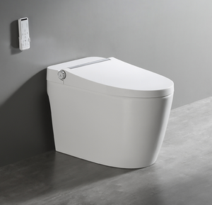 Simple Function Automatic Flushing Toilet 110V/220V Ceramic Toilet Smart Toilet <strong>Bidet</strong> - Product Image 4