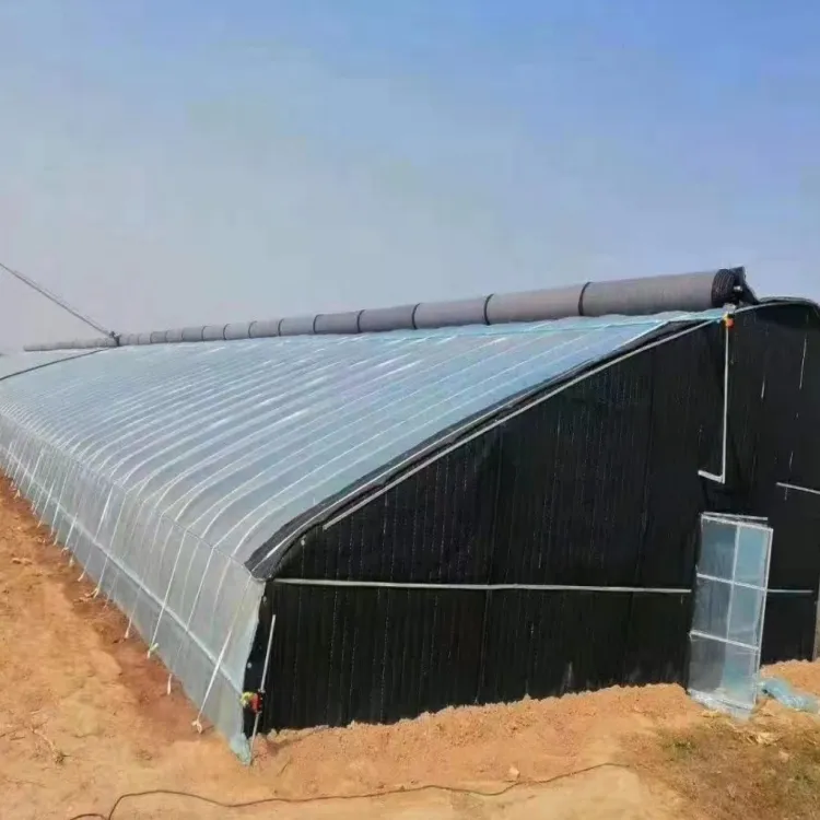 China Professional Single-Span Greenhouse Set 5 Layer Outdoor Kit Invernadero agrícola Pepino