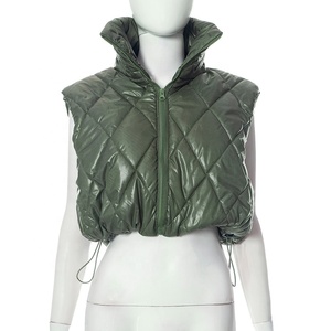 Mùa Thu Mới Đến 2023 Không Tay Kẻ Sọc Bông Áo Khoác Phụ Nữ Mùa Đông Dây Kéo Đứng Cổ Áo Màu Rắn Ngắn Áo Khoác Vest - Product Image 4