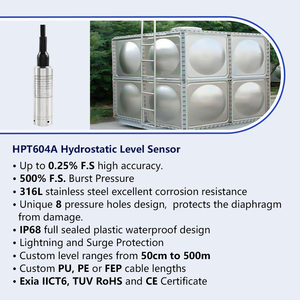 Holykell 4-20mA RS485液位变送器潜水水柴油油箱液位传感器 - Product Image 2