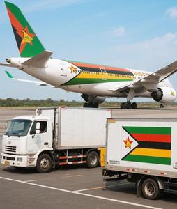 Zimbabwe Pharma Air Freight | Temperature Control + Customs <strong>Brokerage</strong> - Product Image 1
