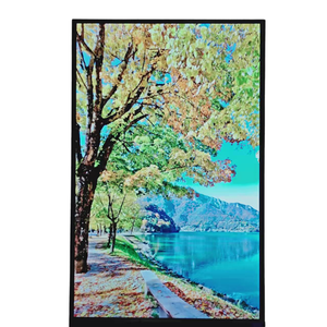 Pannello display LCD TFT da 10.1 pollici 1200*1920 MIPI può con modulo display LCD TP touch IPS - Product Image 5