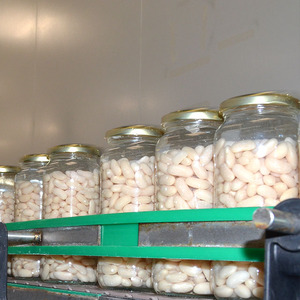 热卖无麸质豆类蜜饯罐装熟食利马豆，价格实惠，用食品级罐装