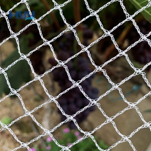 Rete di protezione antiuccello agricola senza nodo di colore bianco di migliore qualità