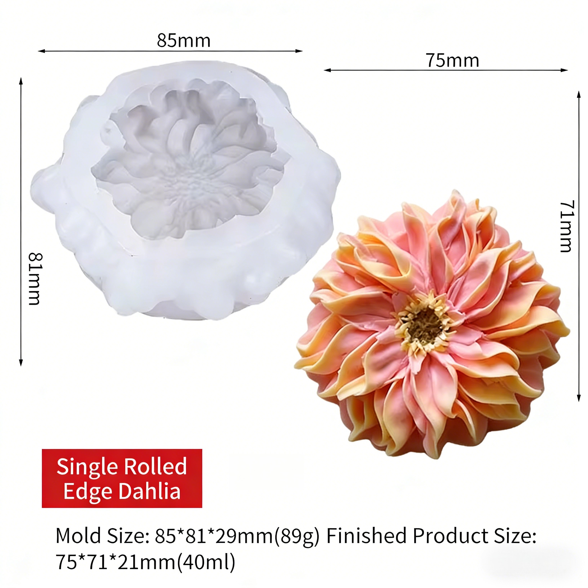 Ferrand blanc simple roulé chaud-755