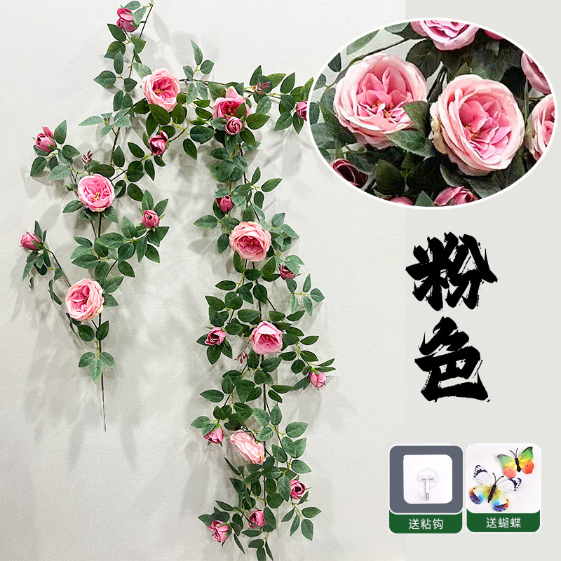 Austin Large Rose Vine - Rose foncé