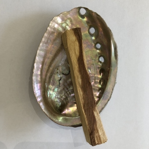 CELION Abalone kabuk temiz deniz kabukları çin'den doğal ev dekorasyon çevre dostu karton dini avrupa deniz kabuğu 20 adet - Product Image 3