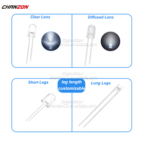 DIP <strong>LED</strong> Diode 1.8mm <strong>2mm</strong> 3mm 5mm 8mm 10mm Light Emitting Diode <strong>White</strong> Red Green Blue Round Oval Flat Top Straw Hat 2V 3V Mini Lamp - Product Image 4