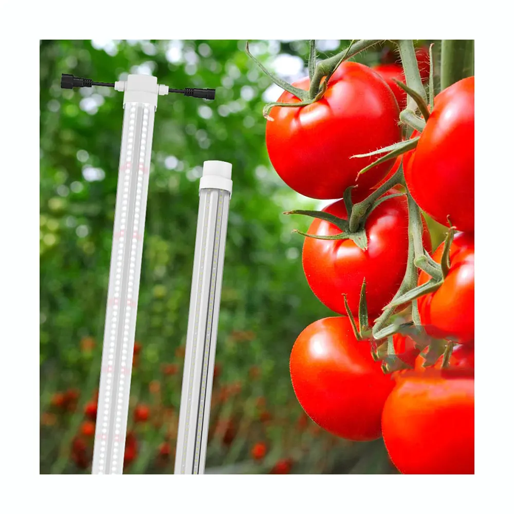 Wasserdicht IP65 T8 Klonleiste Wachstumslicht Rohr Vollspektrum-LED Wachstumslichtleiste für Wasserkultur Innenraum Erdbeere-Tomaten-Anbau