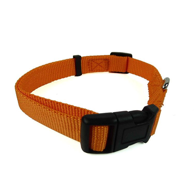 ปกสีส้ม