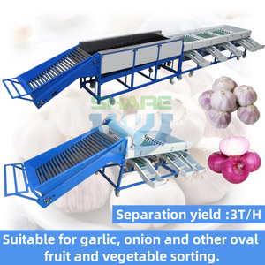 <strong>Automated</strong> Advanced Garlic Onion <strong>Sorting</strong> <strong>Machine</strong> Digital Garlic <strong>Sorting</strong> <strong>Machine</strong> Garlic Clove <strong>Sorting</strong> Onion Grader <strong>Machine</strong> - Product Image 2