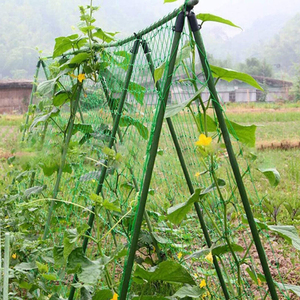 Custom Plastic <strong>Trellis</strong> Support Plant Climbing <strong>Net</strong> Vegetable Support <strong>Netting</strong> Garden <strong>Net</strong> Mesh <strong>Trellis</strong> <strong>Netting</strong> Roll - Product Image 6