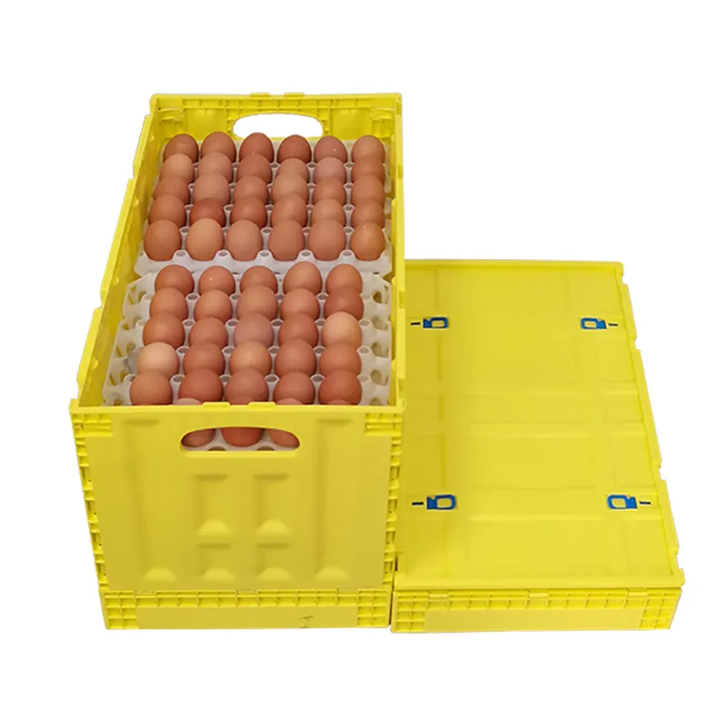 جديد ومستعمل PP بلاستيك علبة بيض أوراق قابلة للطي لنقل بيض الدجاج سعر تنافسي للمزارع استخدام المنزل التجزئة