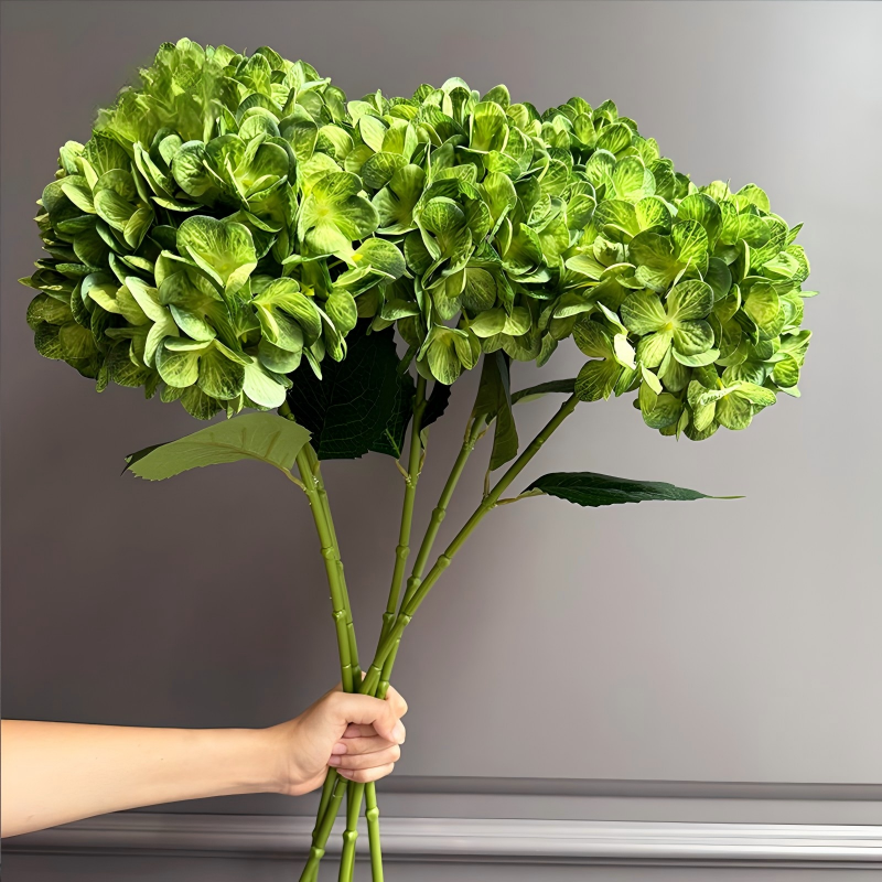 Vert foncé1