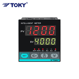 Industriale TC RTD segnali di ingresso multipli PID programma intelligente regolatore di temperatura segmento - Product Image 2