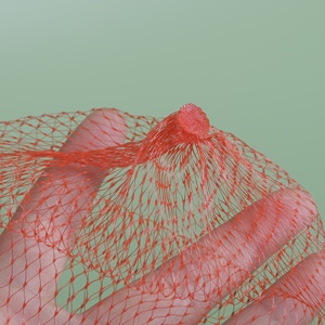 Fabrika üretim pe örgü net net örgü plastik rulo net - Product Image 2