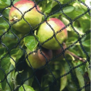 Polietilene agricolo ad alta densità Anti reticolato ortaggi vegetali fitosanitari a rete per laghetto di frutta - Product Image 2