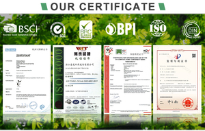 PFAS içermeyen 8 inç Bagasse 3-Compt kapaklı kutu mikrodalga mevcut biyobozunur tek kullanımlık 3-Compt kapaklı kutu - Product Image 5