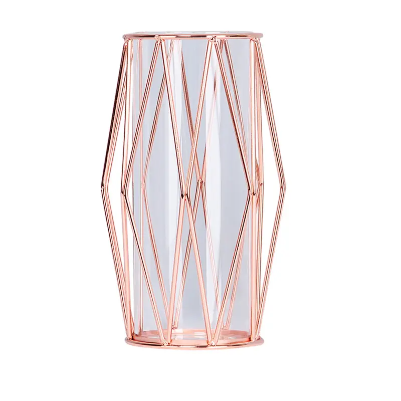 Vaso di vetro idroponico geometrico con diamante in ferro in stile nordico con centrotavola in metallo per decorazioni per la casa ufficio matrimonio