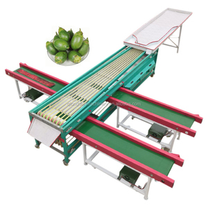 Vegetable Fruit <strong>Sorting</strong> <strong>Machine</strong> Pepper Onion Carrot <strong>Cucumber</strong> Mushroom Hazelnut Macadamia Walnut Chestnut Grading <strong>Machine</strong> - Product Image 6