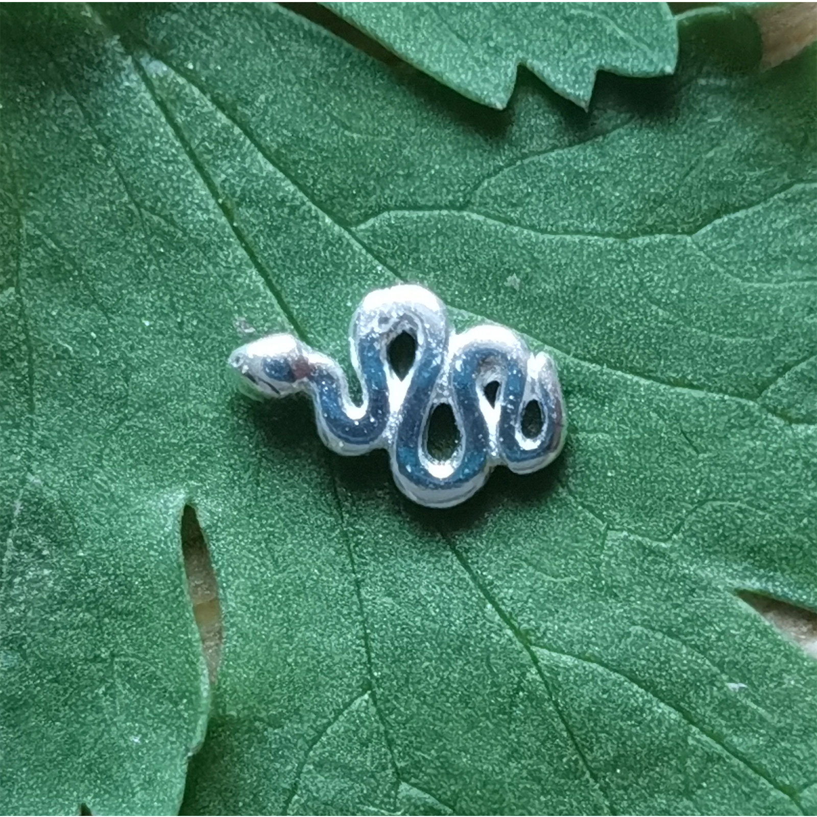 Snake