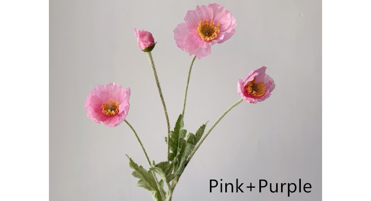 Soft Pink