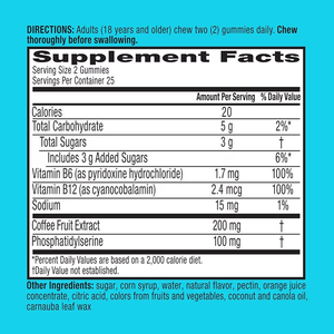 Plus Brain Gummis Memory Focus Konzentration Kognitive Funktion mit Vitaminen B6 B12 Nootropika Phosphat idyl serin Neuro faktor