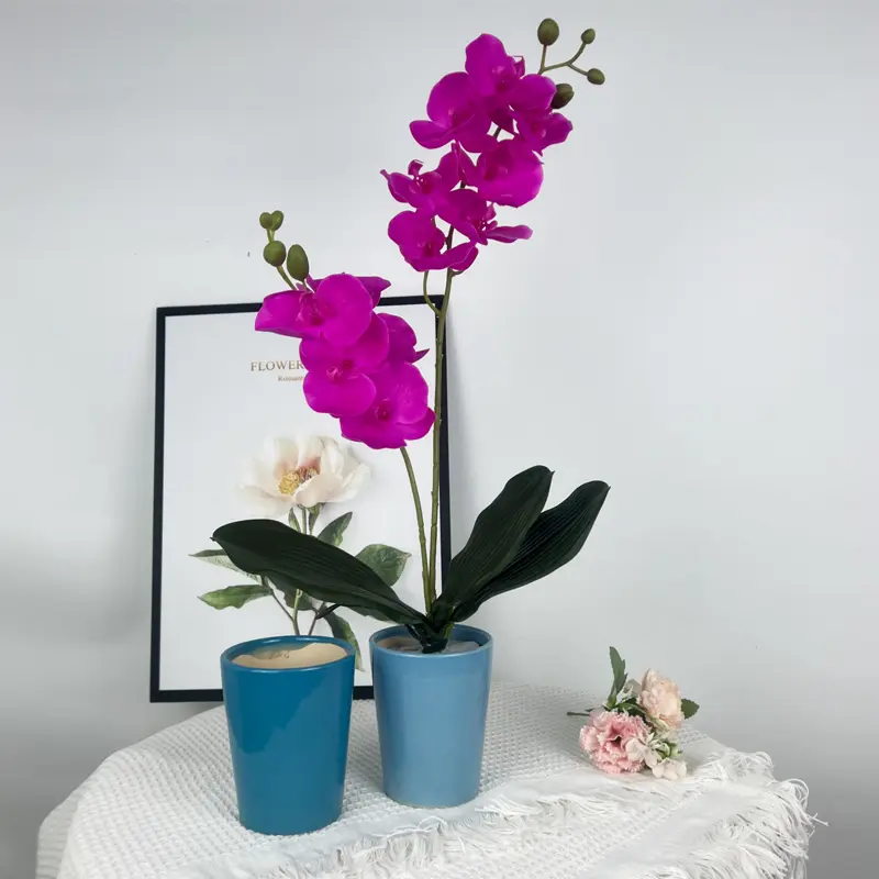 Vaso da fiori in ceramica con piante di orchidea naturale in stile moderno semplice all'ingrosso della fabbrica