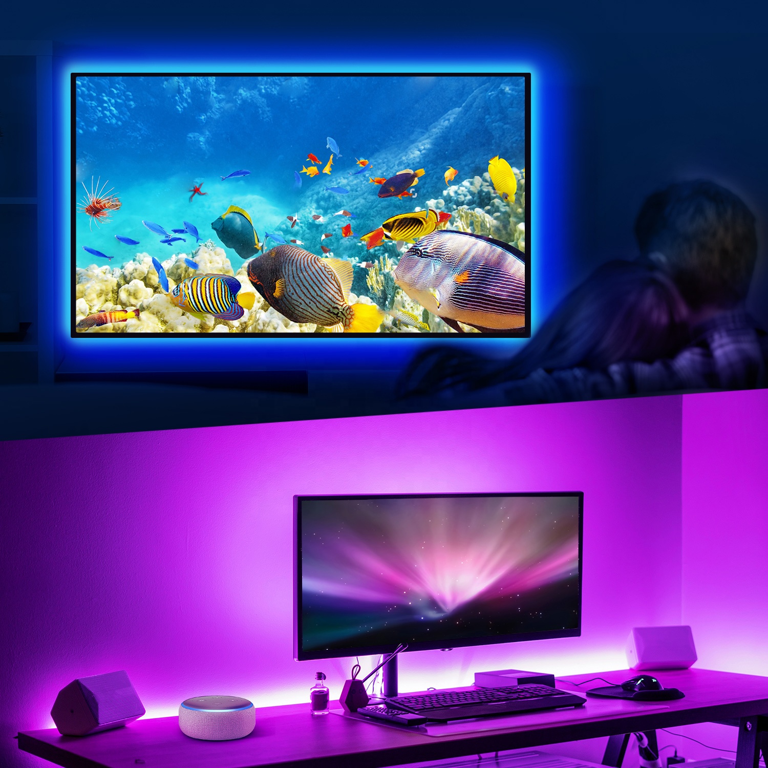 Gosund Nitebird Tuya Smart Led Strip Wifi RGB Light Strip APP Control 5050 Work With Alexa Google Assistant Wholesale 5 Meter