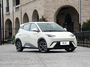 Byd martı <span class=keywords><strong>2025</strong></span> uluslararası sürüm Mini EV araba saf elektrikli Hatchback Sedan