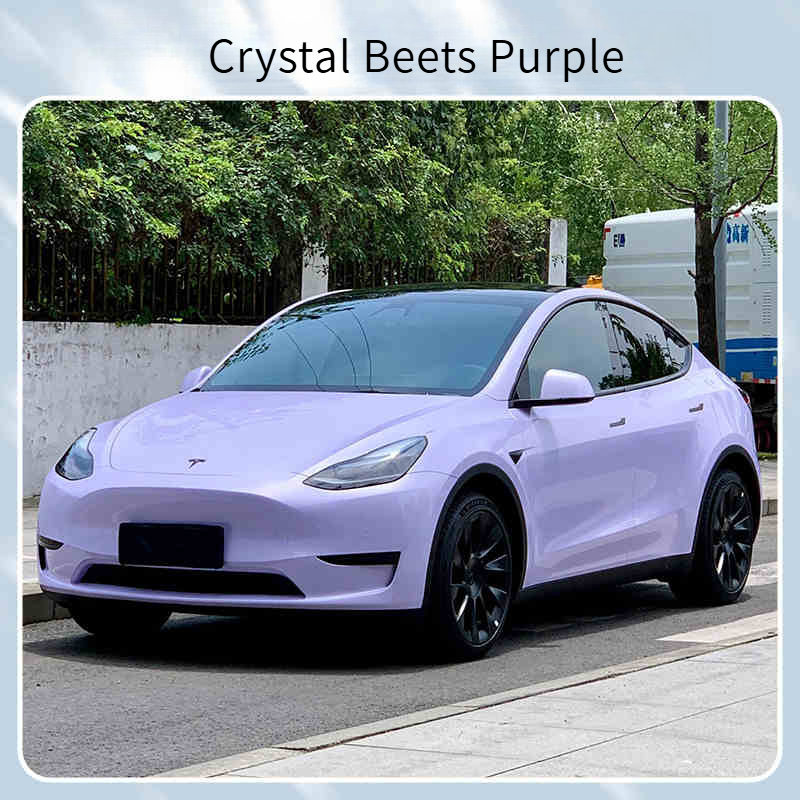 Betteraves Cristal Violettes