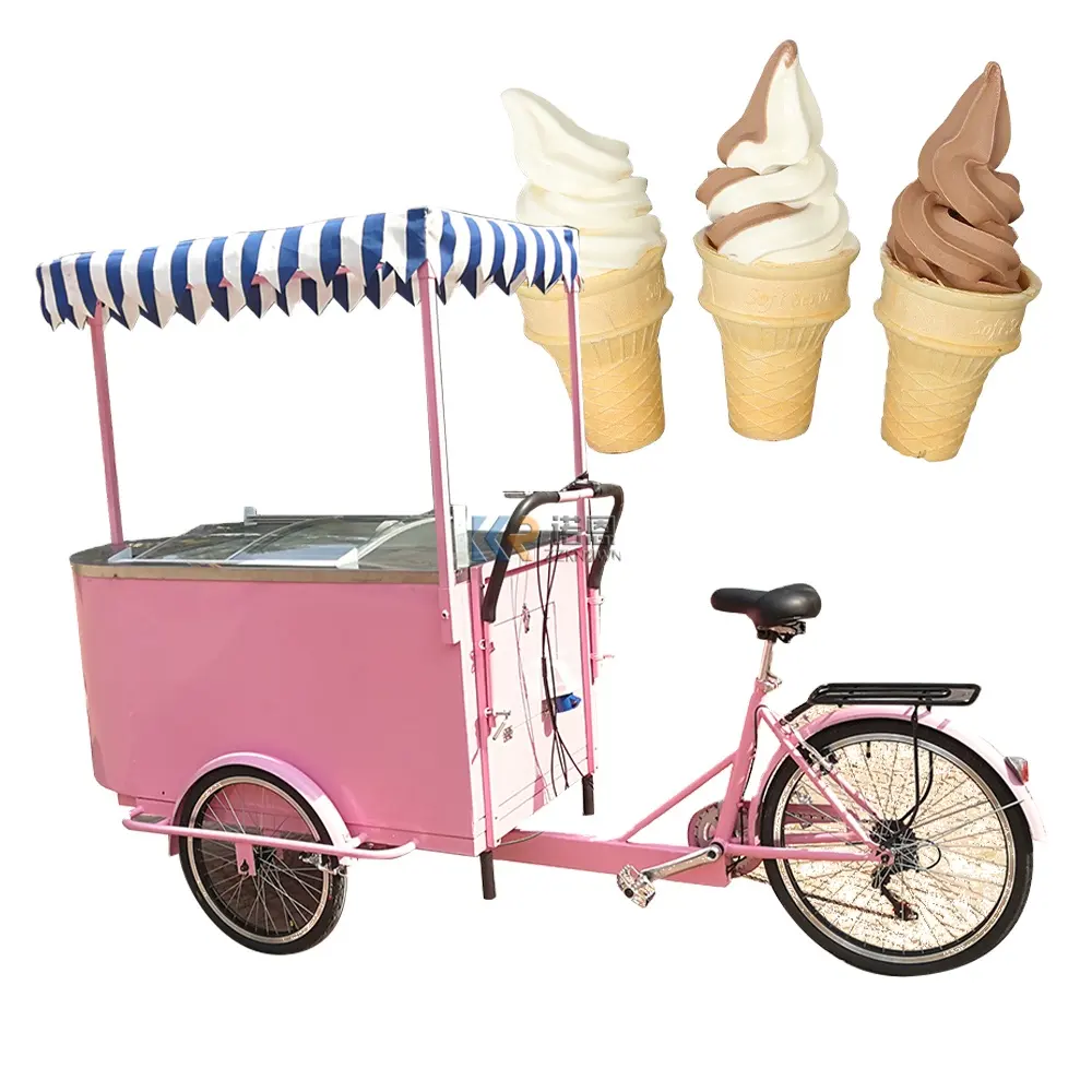 Bici elettrica Street Fruit Flower Vending Carts triciclo a 3 ruote con congelatore in vendita gelato ghiacciolo