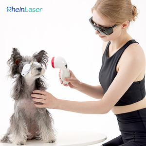 מכשיר שיקום לייזר טיפול תדרים נמוך 808nm 650nm עם תצוגה לבעלי חיים - Product Image 5