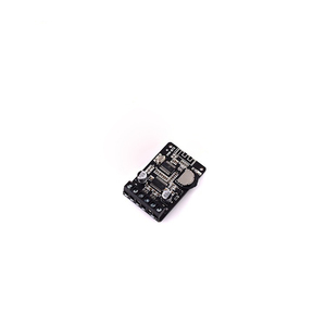 Tereo eléctrico igital odule XY-P15W, 10 15 15W 20W