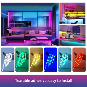DC 12V 54LED/M 20キーIP65 Bluetooth 5050 RGBホリデーAtmoshpere防水LEDストリップライトKiデコレーションホーム用 - Product Image 2