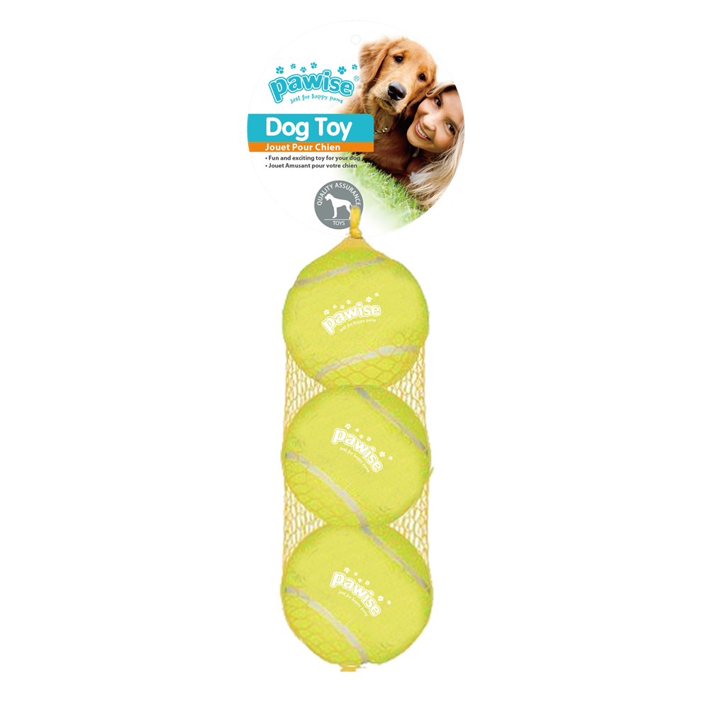 Squeaky Tennis Ball 3Pack