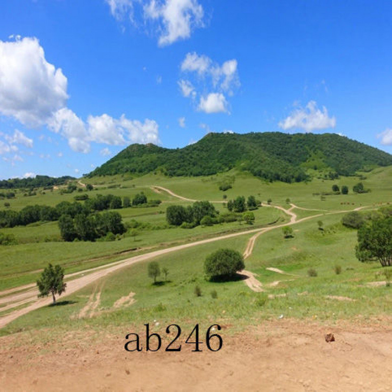 ab246--Dongxu