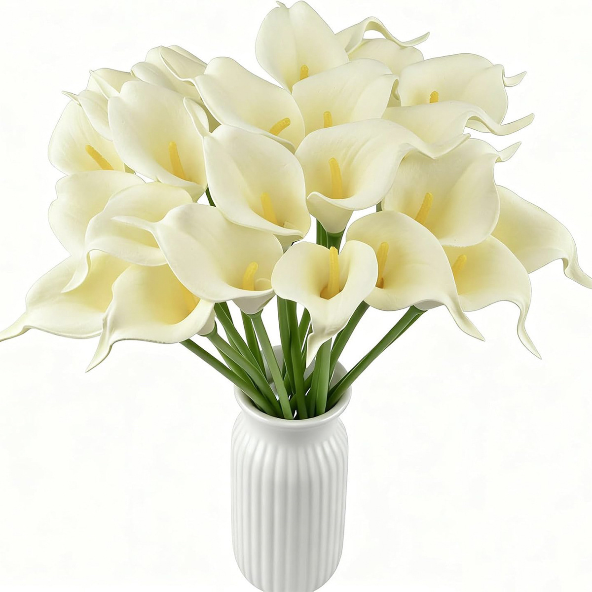 Blanco crema con centro amarillo.
